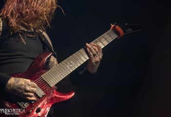 Ingested - Photo by Dänu