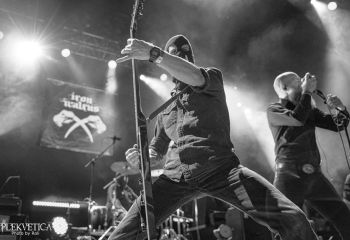 Iron Walrus - Photo by Roli