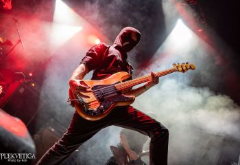 Iron Walrus - Photo by Roli