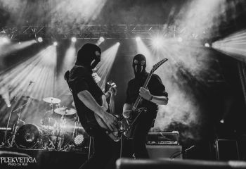 Iron Walrus - Photo by Roli