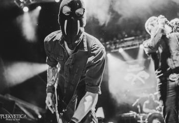 Iron Walrus - Photo by Roli