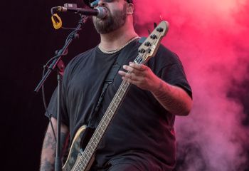 Lionheart - Photo by Marc