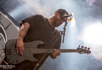 Lionheart - Photo by Marc