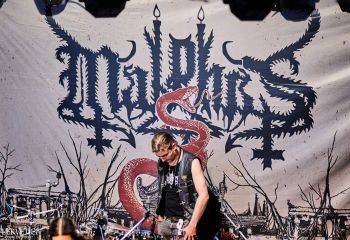 Malphas - Photo By Peti