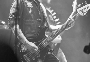 Malphas - Photo By Peti