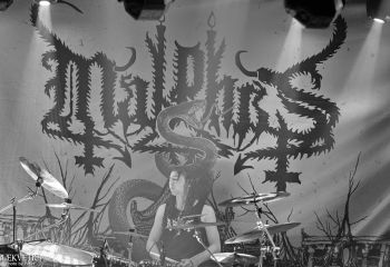 Malphas - Photo By Peti