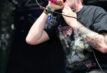 Mayflower - Photo By Peti