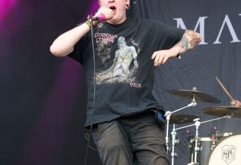 Mayflower - Photo By Peti