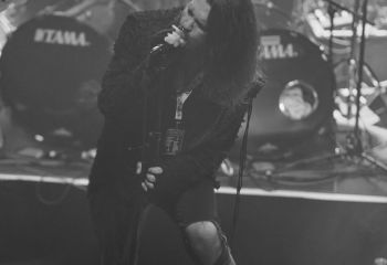 Night Crowned - Photo By Peti