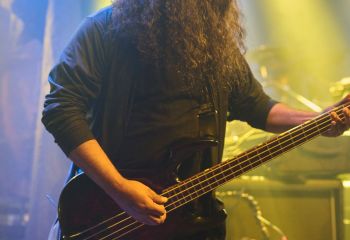 PZ2_3361