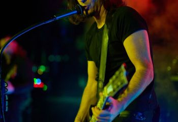 Pertness - Photo By Peti