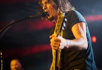 Pertness - Photo By Peti