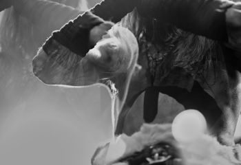 SAGENBRINGER - Photo By Peti