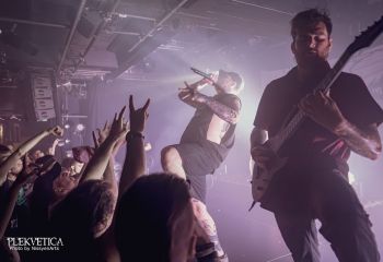 signsoftheswarm-12