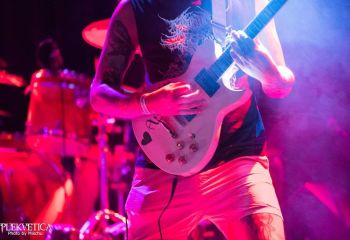 Trust the Shark-photo by Michel Varrin