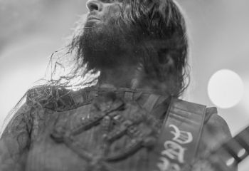 Varg - Photo By Peti