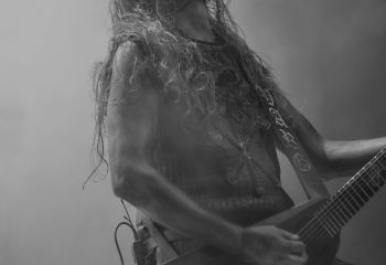 Varg - Photo By Peti