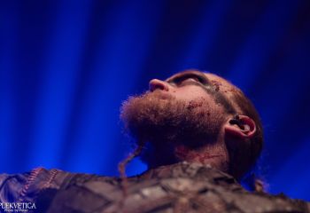 Varg - Photo By Peti