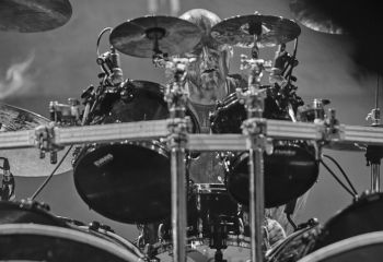 Varg - Photo By Peti