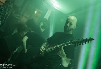 Virvum - Photo by Dänu