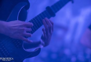 Virvum - Photo by Dänu