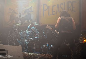 WASP - Photo by Roli