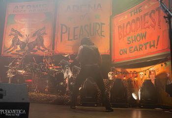 WASP - Photo by Roli