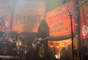 WASP - Photo by Roli