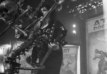 WASP - Photo by Roli