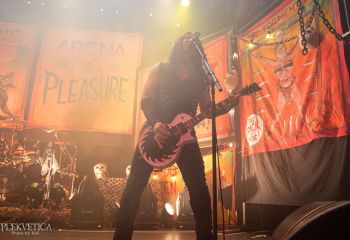 WASP - Photo by Roli