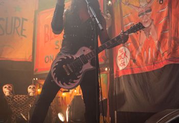 WASP - Photo by Roli