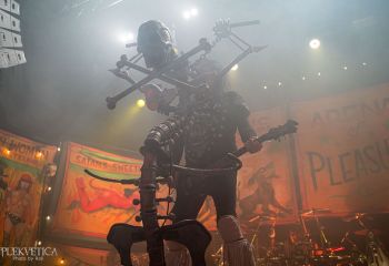 WASP - Photo by Roli