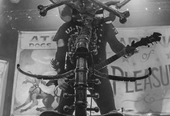 WASP - Photo by Roli