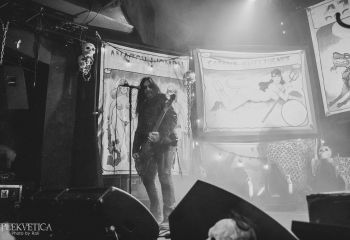 WASP - Photo by Roli