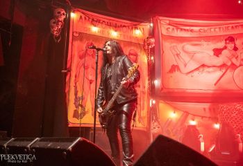 WASP - Photo by Roli