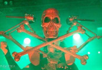 WASP - Photo by Roli