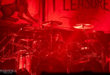 WASP - Photo by Roli