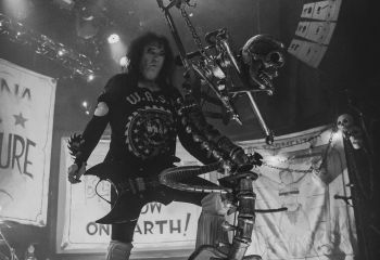 WASP - Photo by Roli