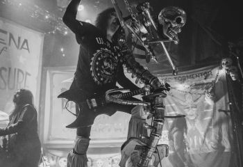 WASP - Photo by Roli