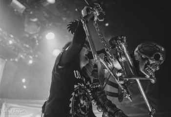 WASP - Photo by Roli