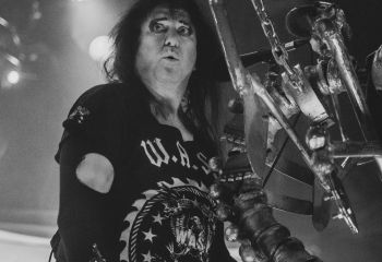 WASP - Photo by Roli