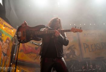 WASP - Photo by Roli