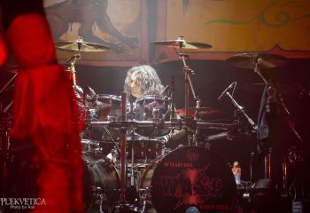 WASP - Photo by Roli