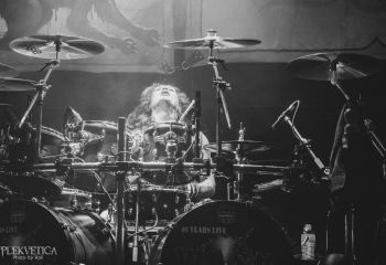 WASP - Photo by Roli