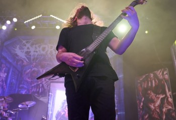 Aborted - Photo By Peti