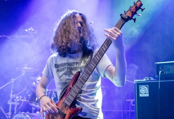 Ailurophobia - Photo by Natalie