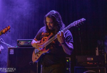 Ailurophobia - Photo by Natalie