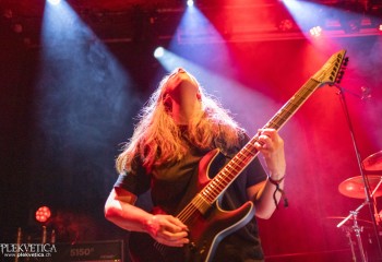 Ailurophobia - Photo by Natalie