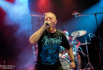 Ailurophobia - Photo by Natalie