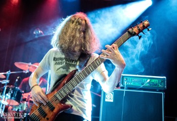 Ailurophobia - Photo by Natalie